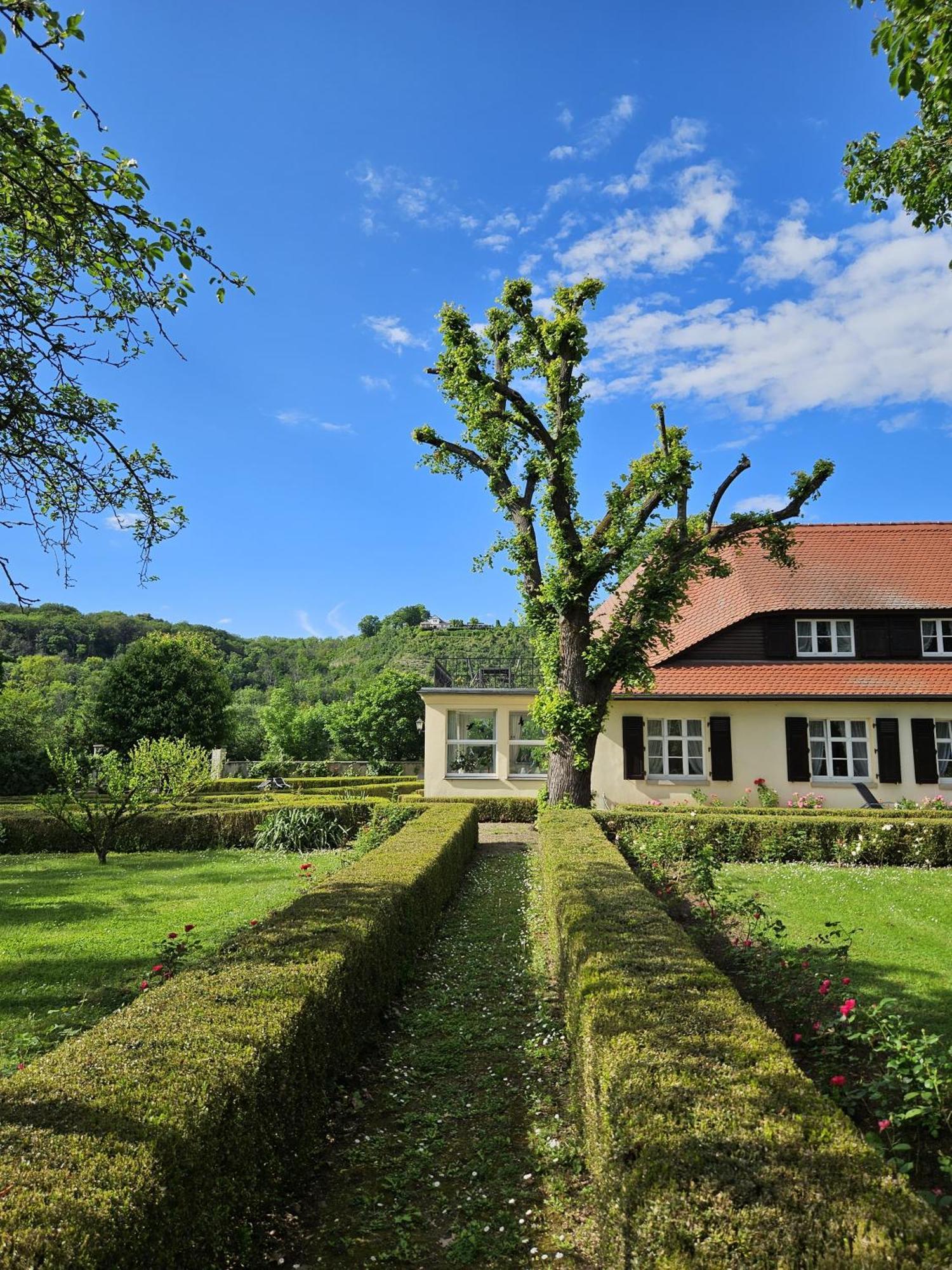 Saaleck Apartment Naumburg (Saale)